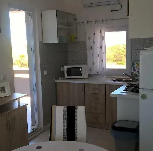 公寓 Kamelia 维尔