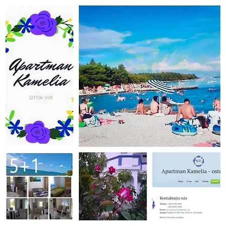 Kamelia Appartement *