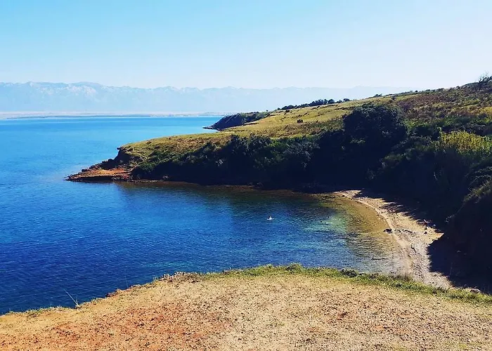 Апартаменты Kamelia *